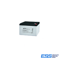 12VDC 12AH Battery